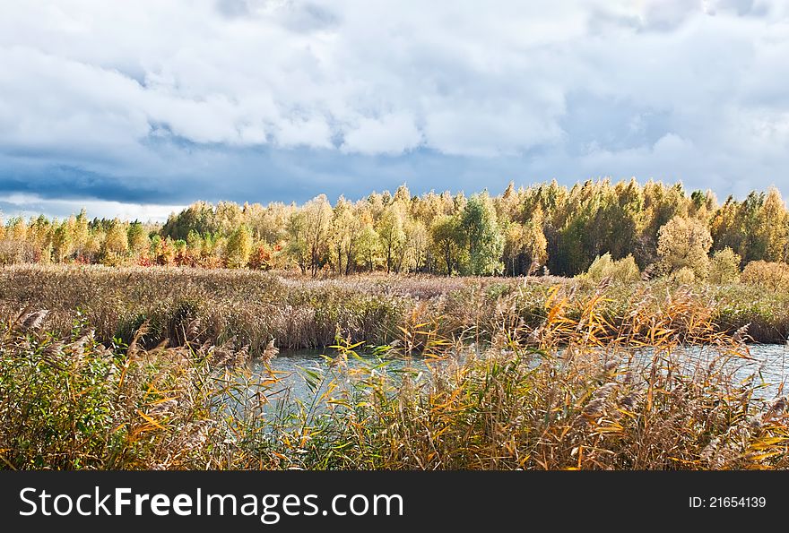 Autumn Landscape with a lake