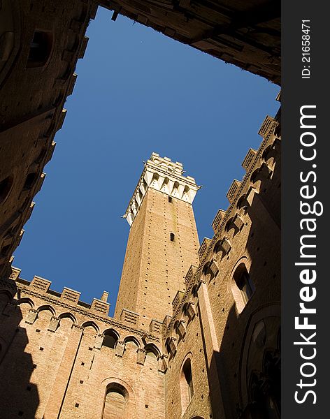 View of Torre del Mangia from Pallazzo Publico's courtyard in Siena, Italy