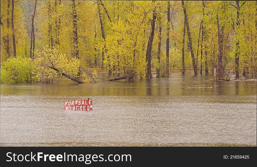 To much rain left this property that is for sale under water. To much rain left this property that is for sale under water