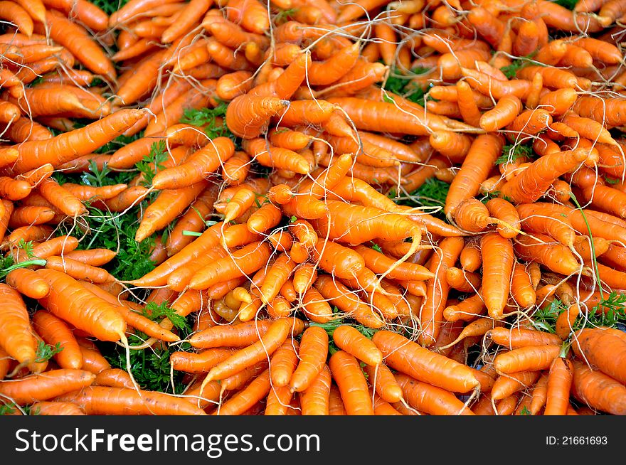 Winter carrots by the bunch at market