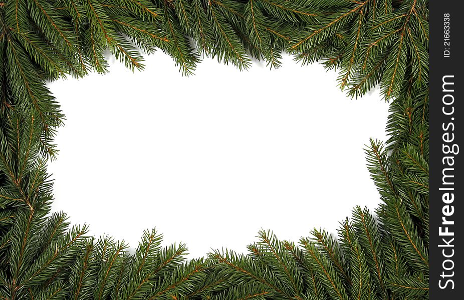 Frame from green twigs of the spruce. Frame from green twigs of the spruce