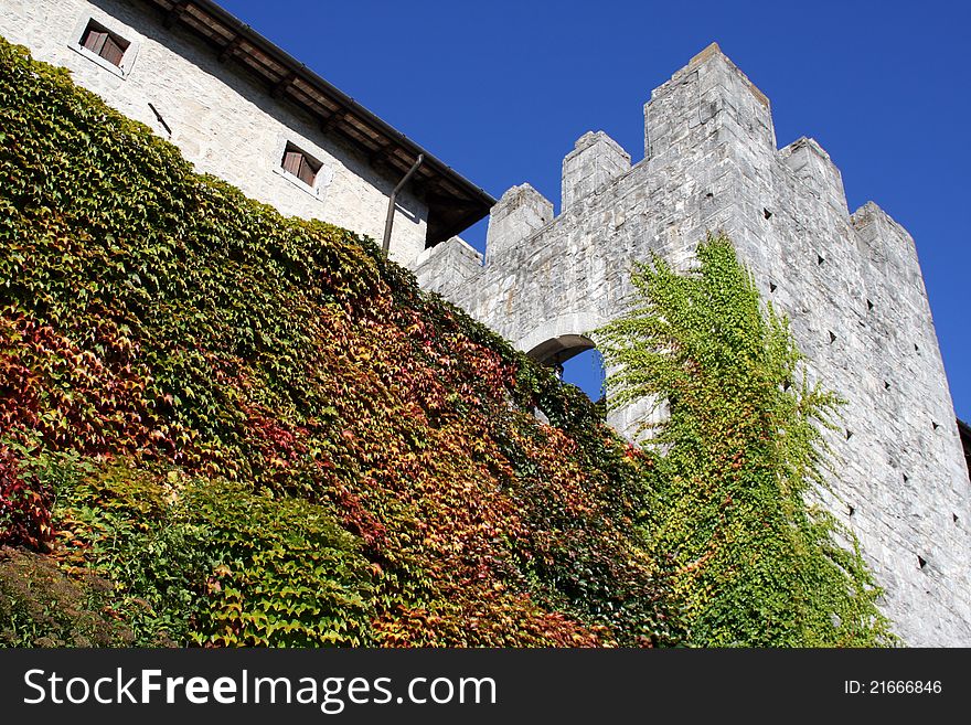 An ancient tower with crenellations covered with ivy