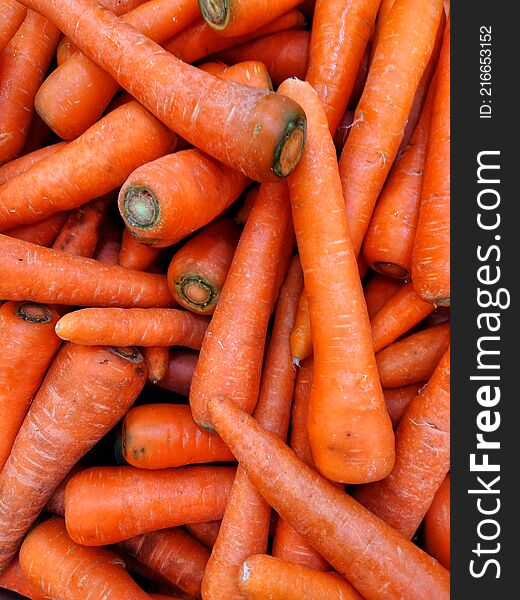 Fresh carrot bunch from garden