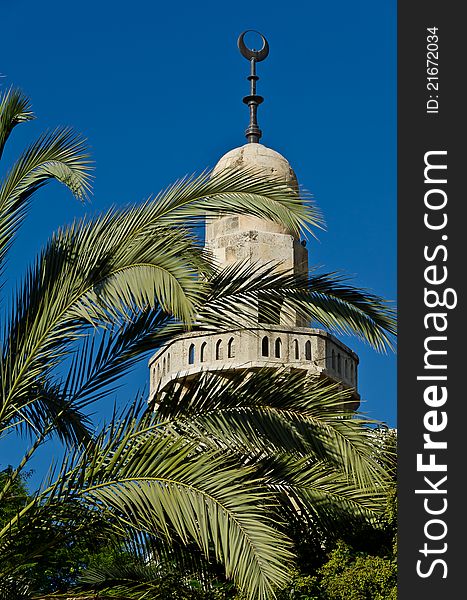 Mosque between the palm tree branches in jerusalem