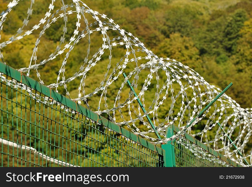 Barbed wire fence on the forest background