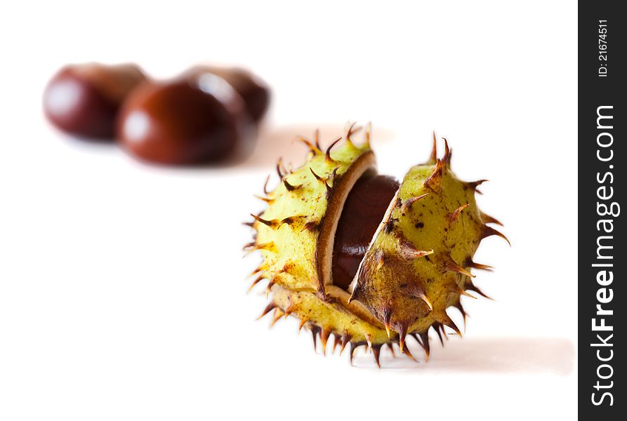 Chestnuts on white, autumn scene. Chestnuts on white, autumn scene