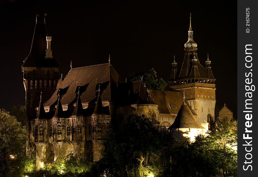 Vajdahunyad castle in Budapest at night. Vajdahunyad castle in Budapest at night