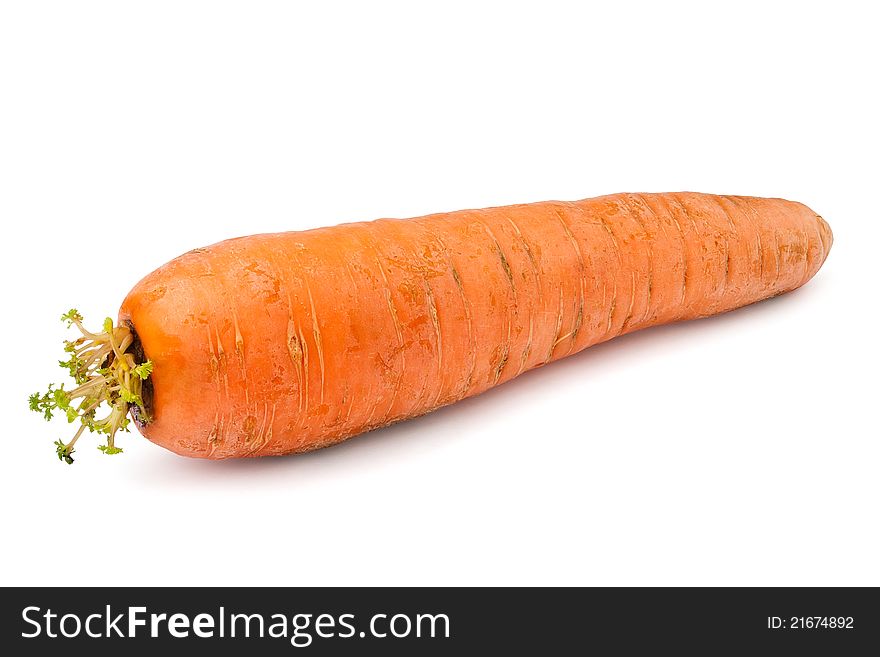 Single carrot against white background