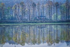 Reflection Of Trees In Water Stock Photo Reflection Of Trees In Water Stock Photo