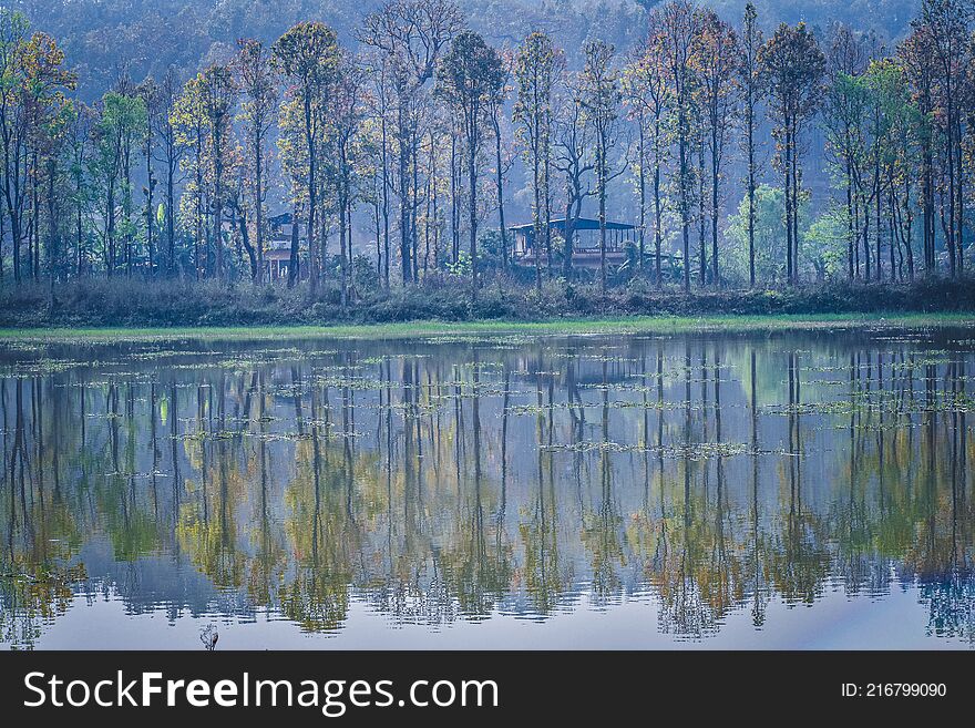 Reflection of trees in water during day time in Hetauda, Nepal.