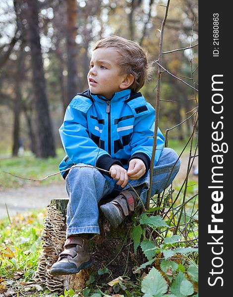 Little boy sitting on the  tree stump, fall, park