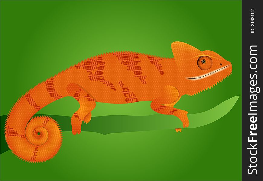 Illustration of an orange chameleon on green background