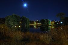 Night Landscape In The Park, Near Lake Stock Photo