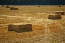 Hay Bales In The Field Royalty Free Stock Image Hay Bales In The Field Royalty Free Stock Image