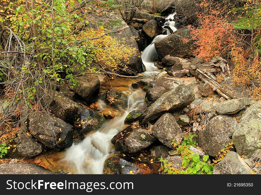 Roaring Creek in Poudre Canyon, northern Colorado, autumn. Roaring Creek in Poudre Canyon, northern Colorado, autumn