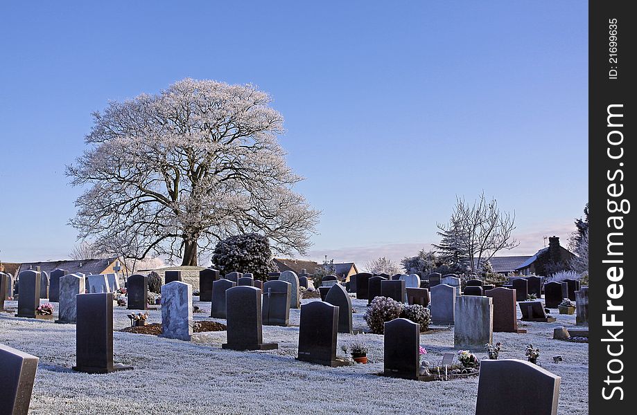 Winter graveyard, lonely tree, religion