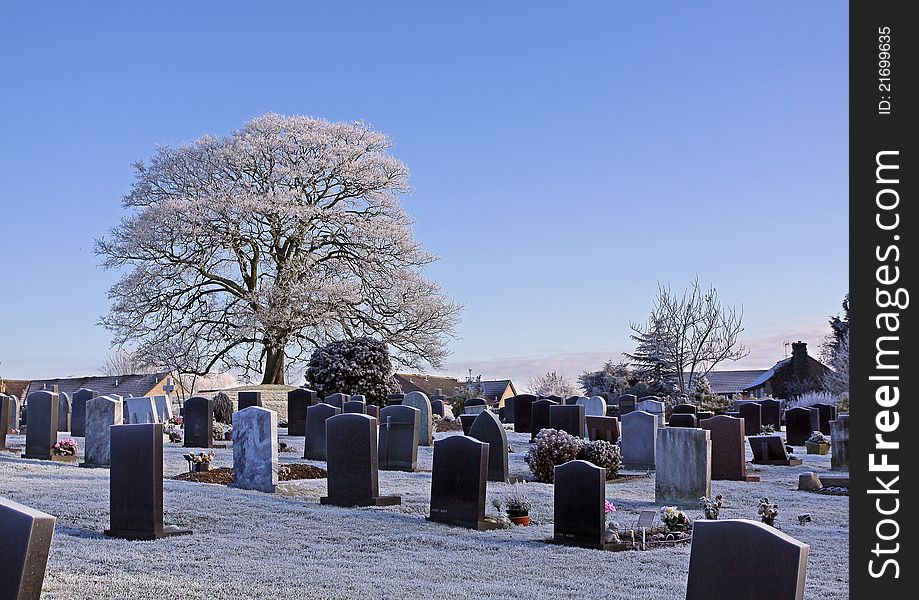 Winter Graveyard