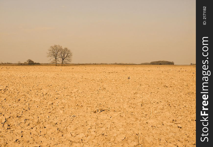 A farmer field after the season. A farmer field after the season