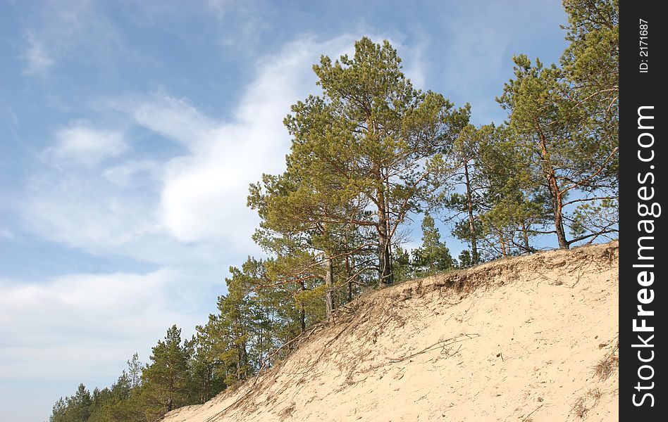 Sand dunes and cloudy sky (Riga, Latvia)