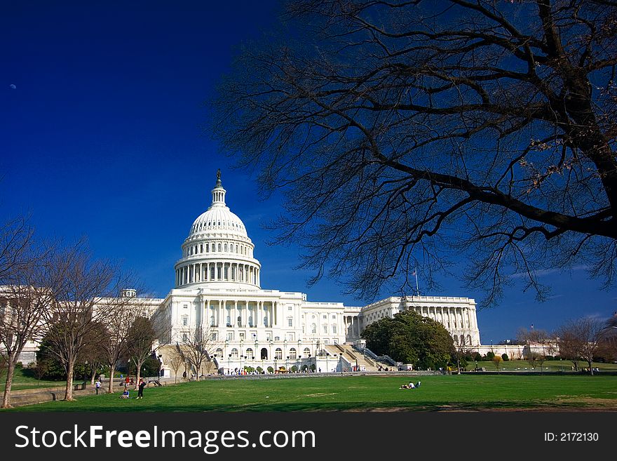 U.S. Capitol On A Sunny Day