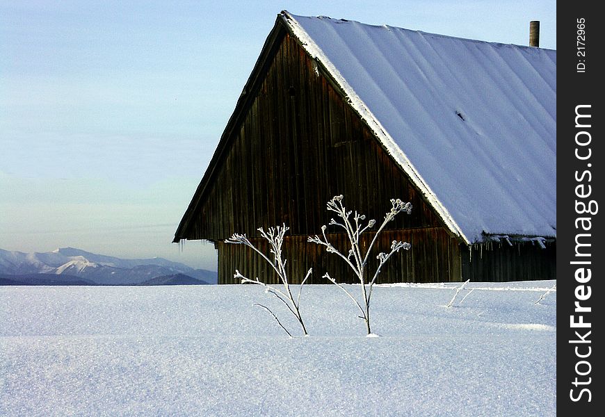 Ice coating about wooden cottage. Ice coating about wooden cottage