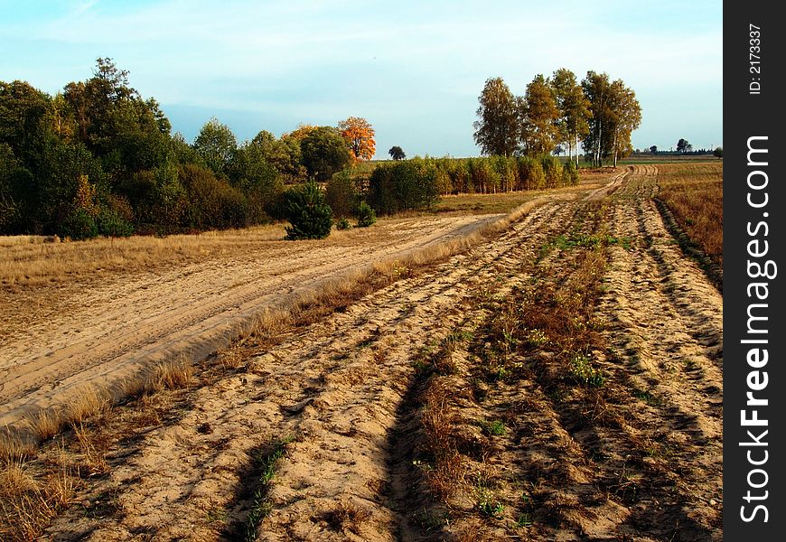 Autumn Landscape - country road, fields and trees.