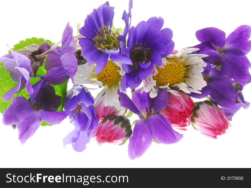 Color flowers on light box