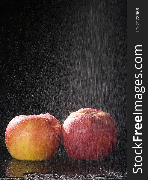 Apples In The Rain