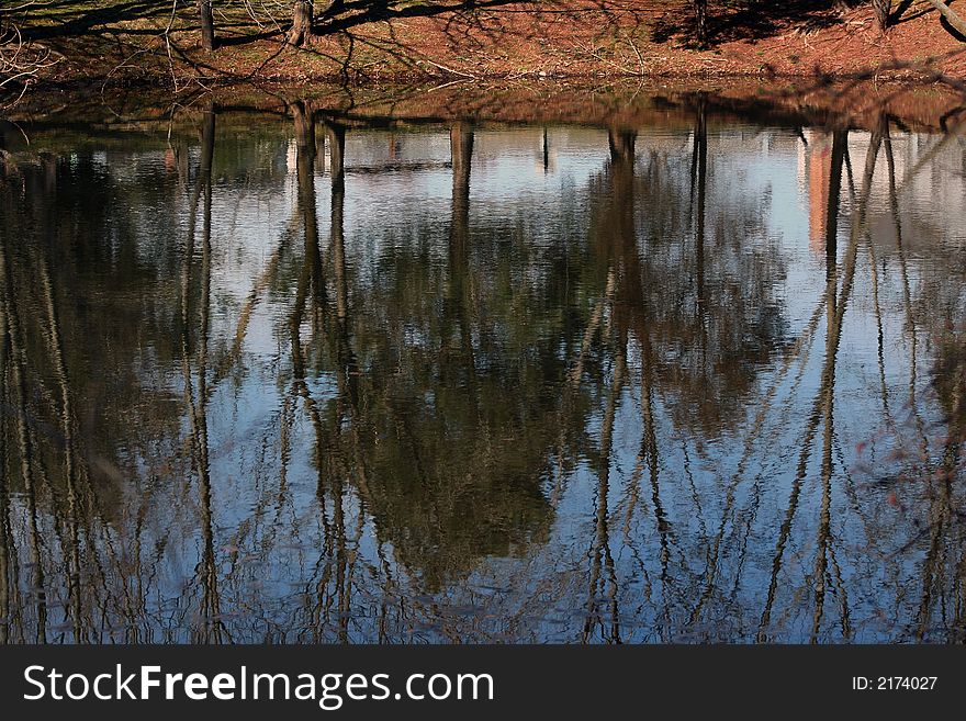 An image of a pond reflection