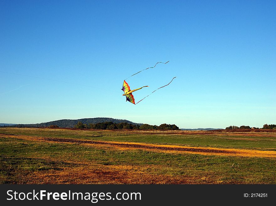 Colorful dragon kite against blue sky with yellow flowers on foreground. Colorful dragon kite against blue sky with yellow flowers on foreground