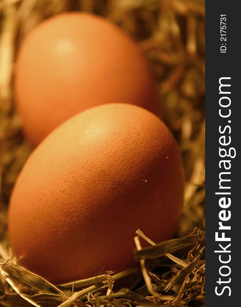 Two brown eggs lying in a nest of hay. Two brown eggs lying in a nest of hay