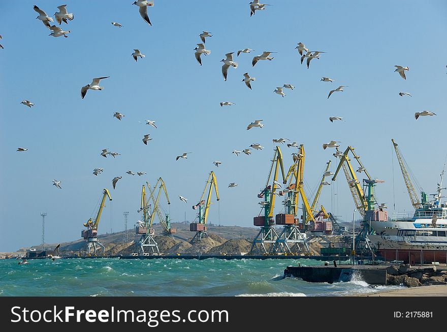 Flock of seagulls against a port background