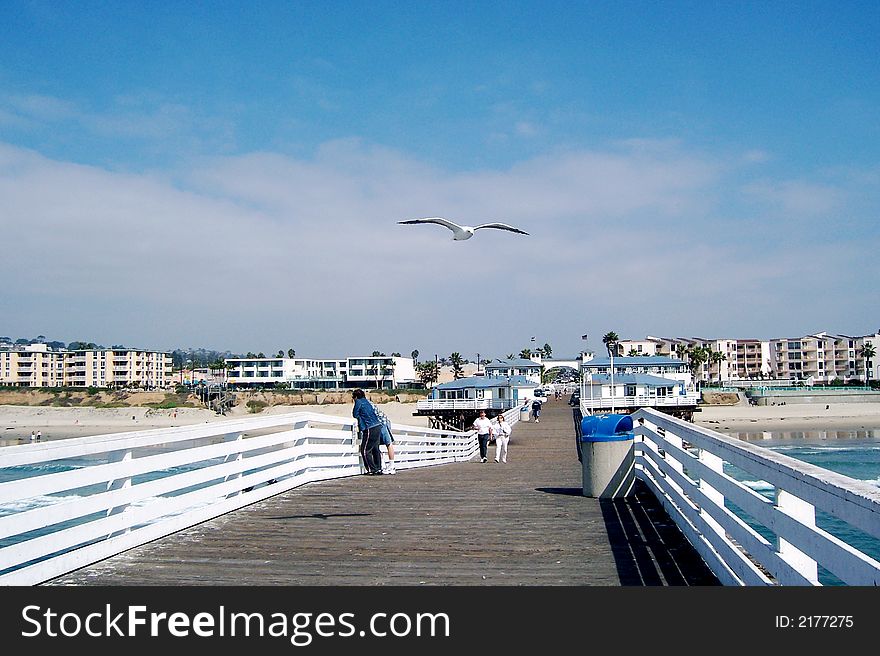 A journey down the boardwalk with blue skies and and single seagull.