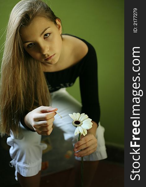 The girl sitting on a chair with a gerber on a green background. The girl sitting on a chair with a gerber on a green background