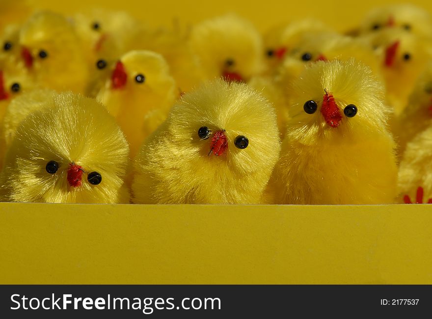 Ready for card easter chicks. Ready for card easter chicks