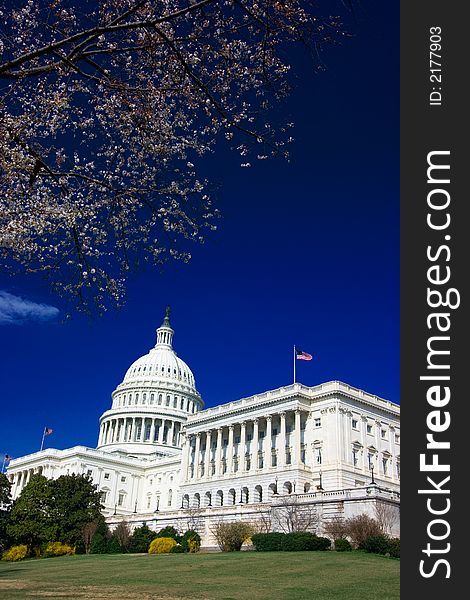 U.S. Capitol Building on a beautiful blue sky spring day. U.S. Capitol Building on a beautiful blue sky spring day