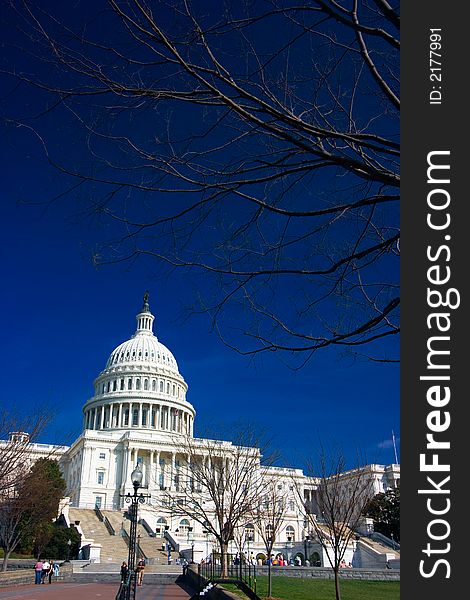 U.S. Capitol Building on a beautiful blue sky spring day. U.S. Capitol Building on a beautiful blue sky spring day