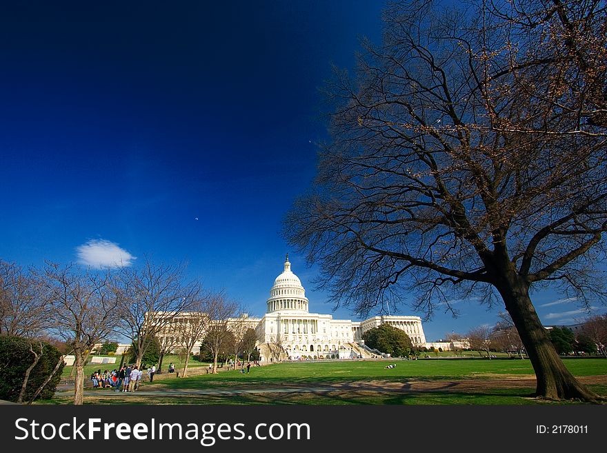 U.S. Capitol on a sunny day