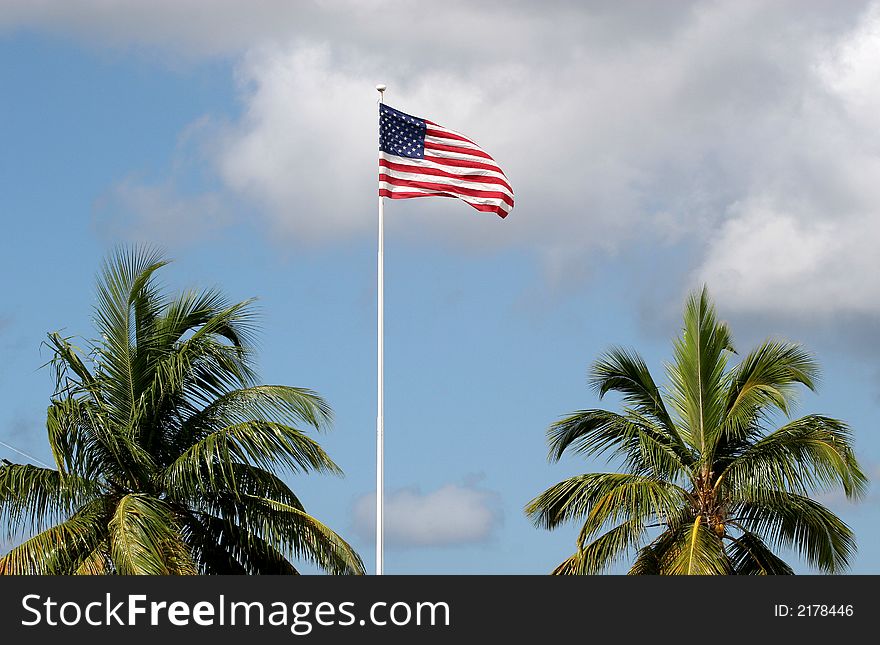 American Flag in sky between two palm trees. American Flag in sky between two palm trees