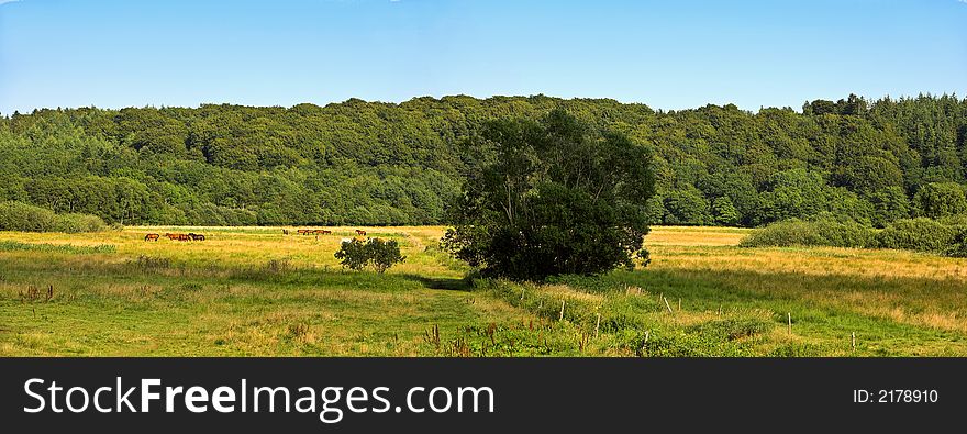 Photo of farmland in Denmark. Photo of farmland in Denmark