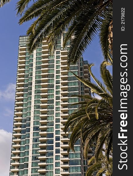 New high rise condo or hotel building, with a foreground of palm trees. New high rise condo or hotel building, with a foreground of palm trees