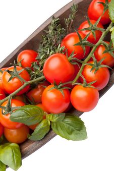 Cherry Tomatoes With Basil And Thyme Royalty Free Stock Photo Cherry Tomatoes With Basil And Thyme Royalty Free Stock Photo