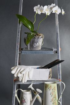 Gardening Tools  And Flowers In Pots. Royalty Free Stock Photos