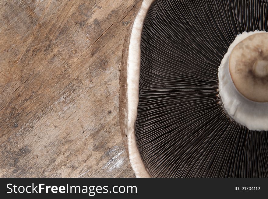 A mushroom on wooden table.