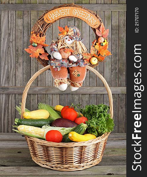 Corn, squash, tomatoes, lettuce and egg plant in a basket. Corn, squash, tomatoes, lettuce and egg plant in a basket