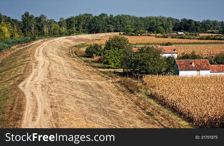 Pedestrian path next to woods and fields. Pedestrian path next to woods and fields