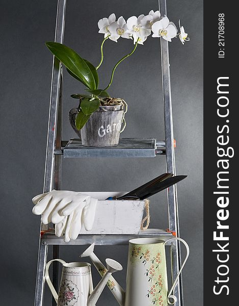 Gardening tools and flowers on a metal stepladder over grey background. Gardening tools and flowers on a metal stepladder over grey background.