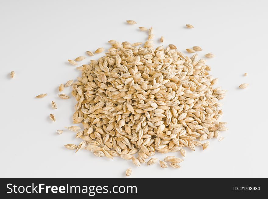 Fresh wheat grains over white background