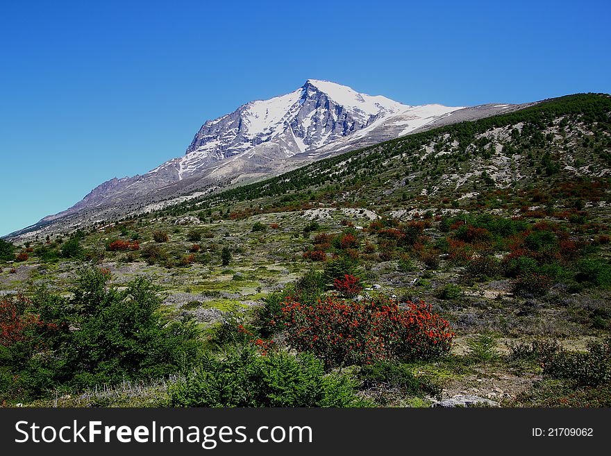 Bush walking in patagonia