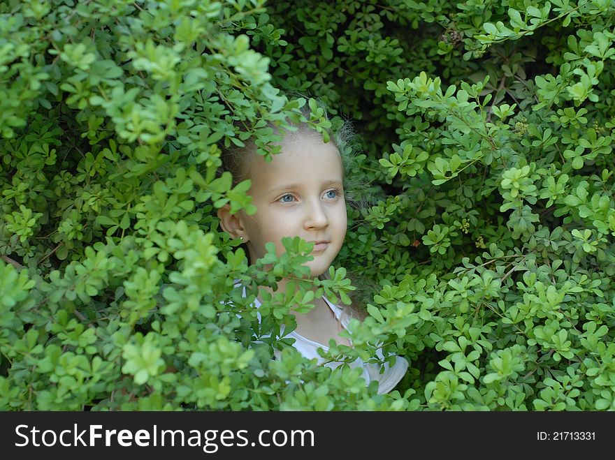 Child girl portrait in the leaves poses. Child girl portrait in the leaves poses